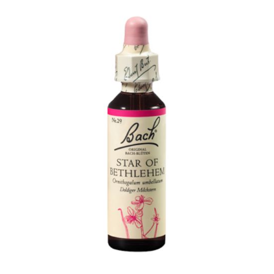 Slika Bach kapljice št.29 star of bethlehem 20 ml
