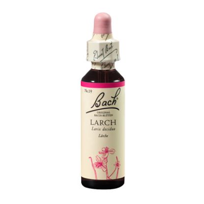 Slika Bach kapljice št.19 larch 20 ml