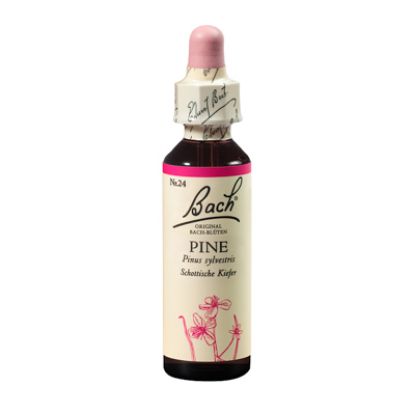 Slika Bach kapljice št.24 pine 20 ml