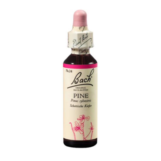 Slika Bach kapljice št.24 pine 20 ml