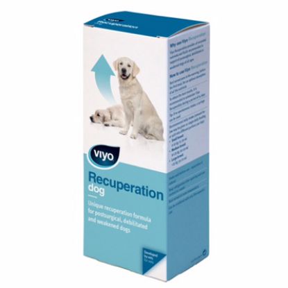 Slika Viyo recuperation nizkokalorična raztopina za pse plastenka 150 ml 1x