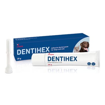 Slika Dentihex dentalna adhezivna pasta za pse, mačke in konje 20 g