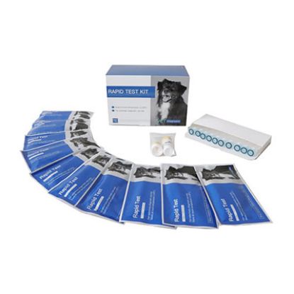 Slika Canivet giardia antigen rapid test 10x