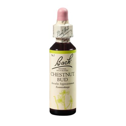Slika Bach kapljice št. 7 chestnut bud 20 ml